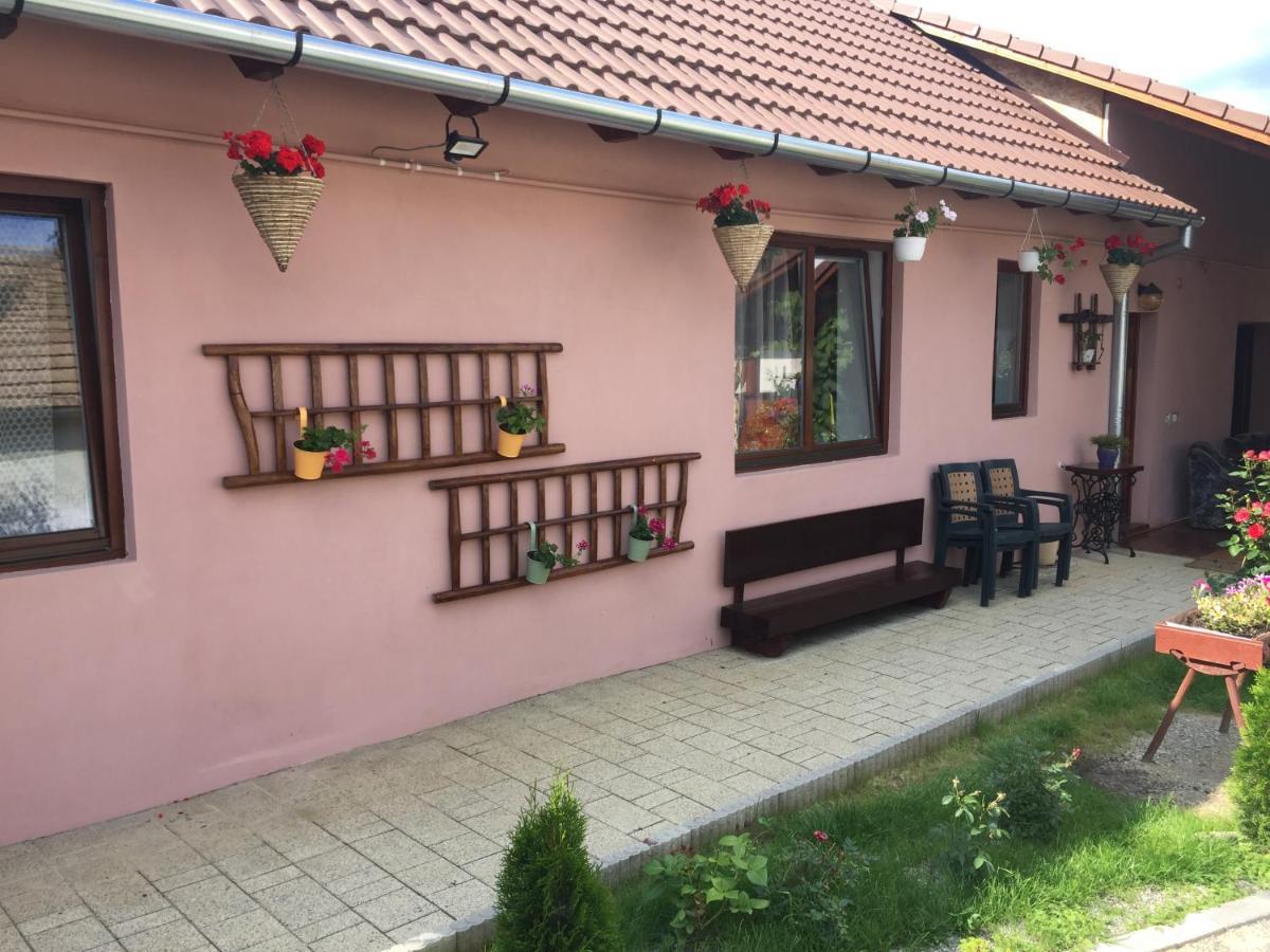 Casa Rustica Cu Terasa Villa Medias Exterior photo