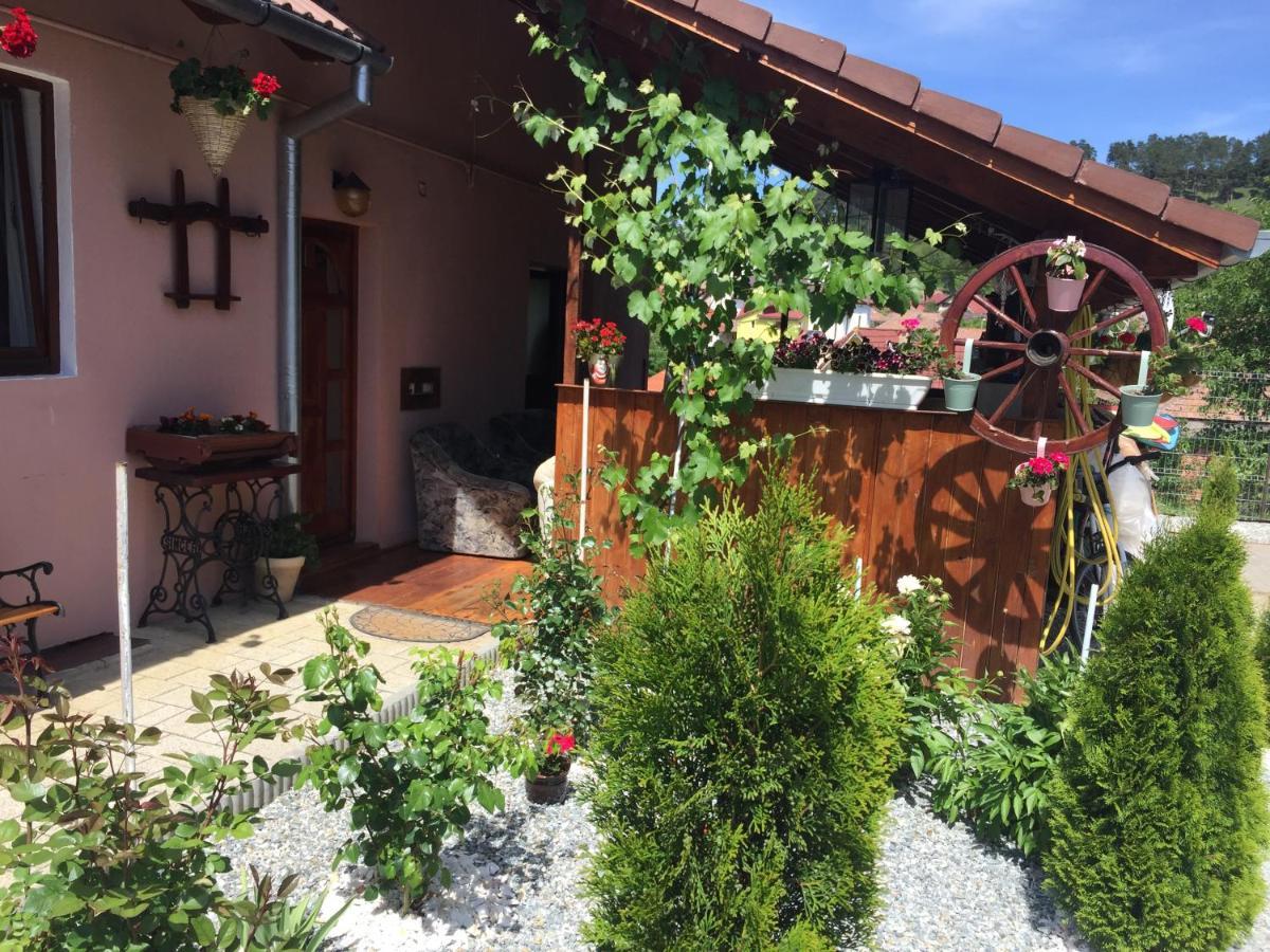 Casa Rustica Cu Terasa Villa Medias Exterior photo